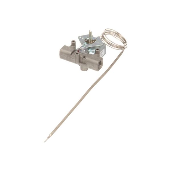 Allpoints 8009336 Thermostat, Gs